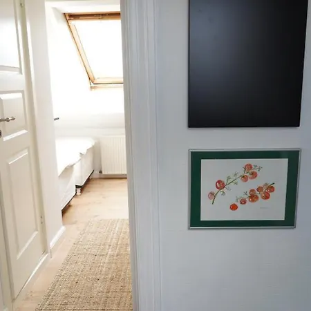 Homely 2 Close To Center 아파트